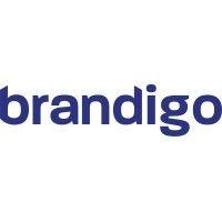 brandigo global logo image