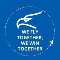 montenegro airlines logo image