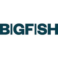 big fish marketing inc. logo image