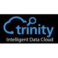 trinityidc, inc. logo image