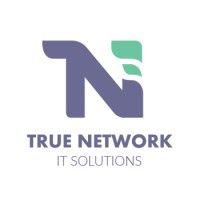 true network - it solutions logo image