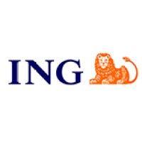 ing usługi dla biznesu s.a. logo image