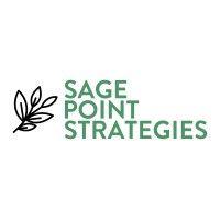 sage point strategies logo image