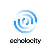 echolocity