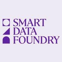 smart data foundry logo image