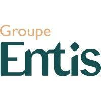 groupe entis logo image