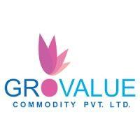 grovalue group logo image