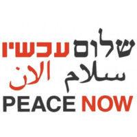 peace now logo image