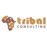 tribal change consulting & resourcing