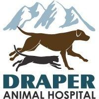 draper animal hospital logo image