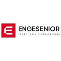 engesenior engenharia e consultoria ltda