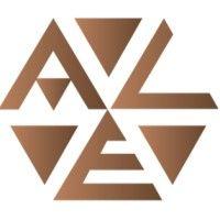 ace group logo image