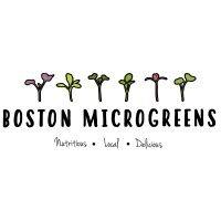 boston microgreens logo image