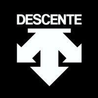 descente global retail logo image