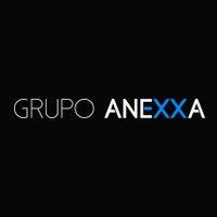 grupo anexxa logo image