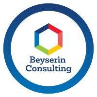 beyserin consulting logo image