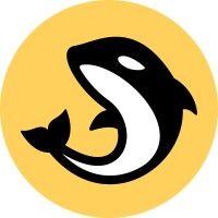 orca logo image