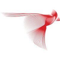 redbird capital partners logo image