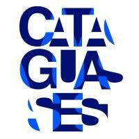 companhia industrial cataguases logo image