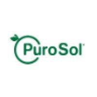 puro sol logo image