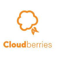 cloudberries as - råest på digital innovasjon