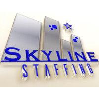 skyline staffing, llc logo image