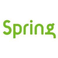 springboard technology logo image