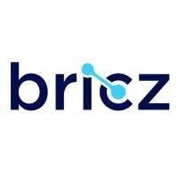 bricz logo image