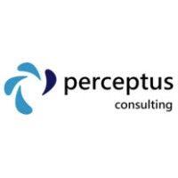 perceptus consulting logo image