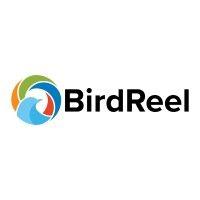 birdreel logo image