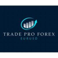 day trading managed fx accounts logo image