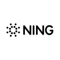 ning interactive inc. logo image