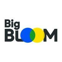 big bloom logo image