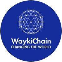 waykichain维基链 logo image