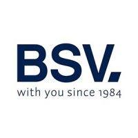 bsv electronic logo image