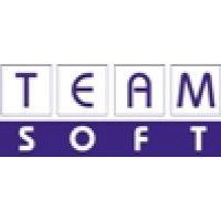 teamsoft llc logo image