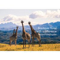 intle boutique hotel logo image