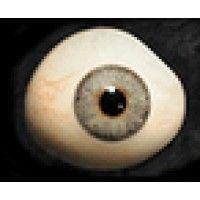 glass eye pix logo image