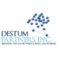 destum partners, inc logo image