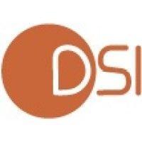 dsi services informatiques logo image