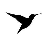 hummingbird music logo image