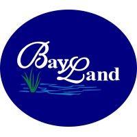 bayland consultants & designers, inc. logo image