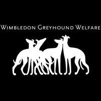 wimbledon greyhound welfare logo image