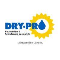 dry pro foundation and crawlspace specialists logo image