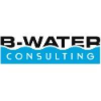 b-water consulting group logo image