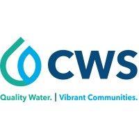 cws clearwater solutions logo image