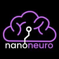 nanoneuro systems logo image