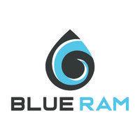 blue ram group, llc logo image