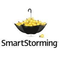 smartstorming llc logo image