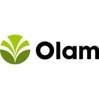 olam information services private limited logo image